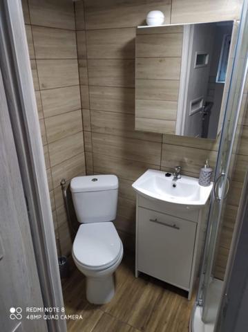 Apartamenty Gorski Strumyk カルパッチ エクステリア 写真